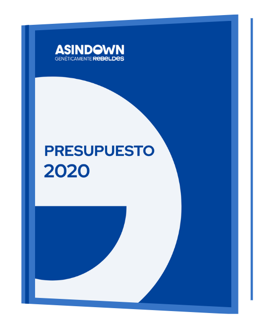 Presupuesto_2020_asociacion