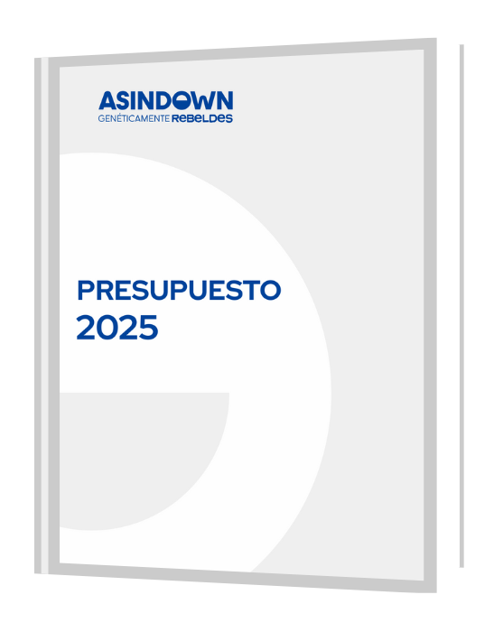 Presupuesto_2025_asociacion