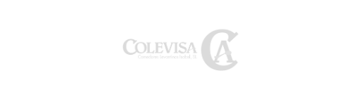 LOGO_COLEVISA